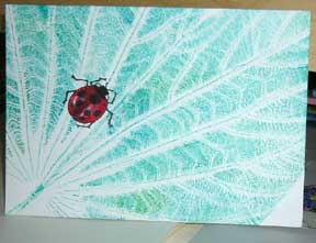 Creating Fun Nature Cards