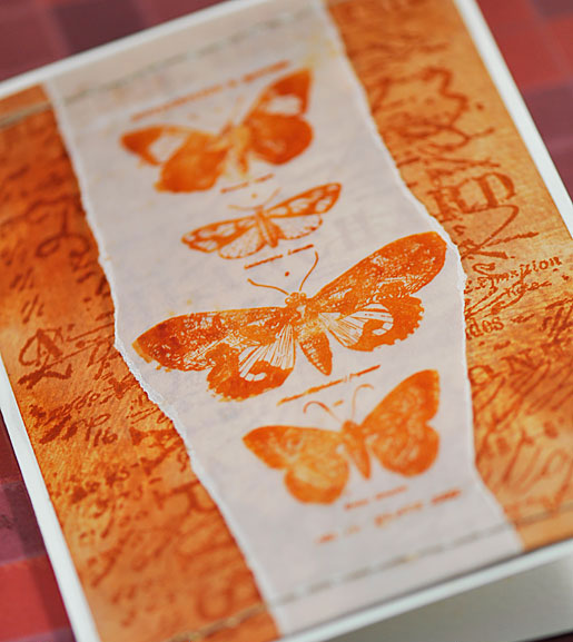 Vintage Butterfly Card